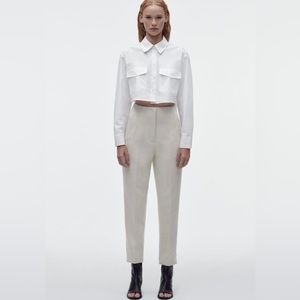 ZARA HIGH WAISTED PANTS